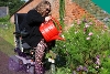 Lady with Watering Can at the community garden